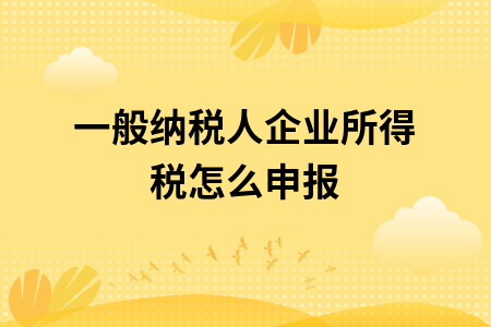 一般纳税人企业所得税怎么申报
